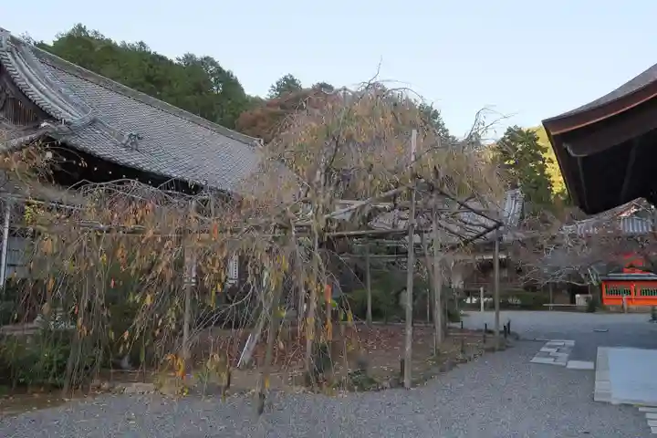 毘沙門堂門跡のその他建物