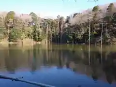 塙稲荷神社の周辺