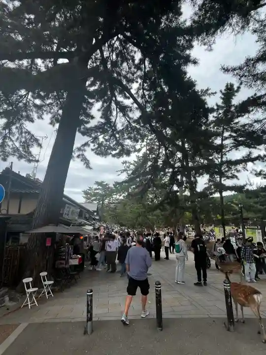 興福寺の{uncategorized: "未分類", other: "その他", undefined: "問題あり", building: "その他建物", grave: "お墓", sacred_gate: "鳥居", guardian: "狛犬", statue: "像", buddha: "仏像", history: "歴史", nature: "自然", garden: "庭園", animal: "動物", pagoda: "塔", temizu: "手水舎", mountain_gate: "山門・神門", sanctuary: "本殿・本堂", subordinate: "末社・摂社", art: "芸術", scenery: "景色", jizo: "地蔵", ema: "絵馬", goshuin: "御朱印", omikuji: "おみくじ", items: "授与品その他", amulet: "お守り", goshuincho: "御朱印帳", eats: "食事", festival: "お祭り", votive_dance: "神楽", shichigosan: "七五三参", wedding: "結婚式", experience: "体験その他", initially: "初詣", around: "周辺", anti_infection: "感染症対策"}