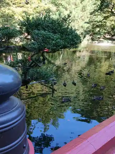 間々田八幡宮の庭園