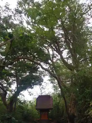 惶根神社の本殿・本堂