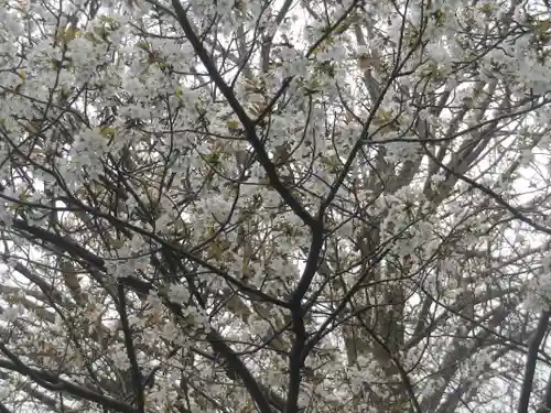 長勝寺の庭園