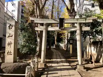 荻窪白山神社の鳥居