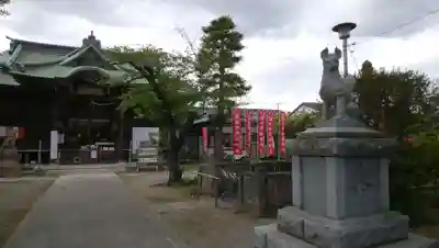 半田稲荷神社の狛犬
