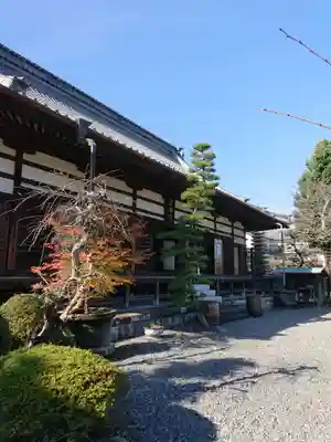 鉄舟寺の本殿・本堂