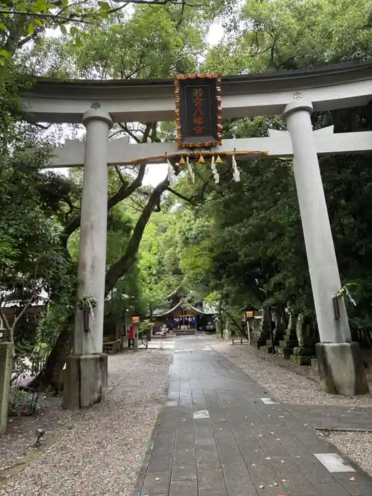若宮八幡宮(高知県)
