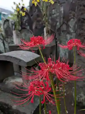 福寿院(東京都)