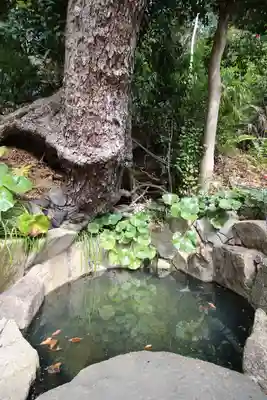 師岡熊野神社(神奈川県)