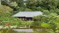 浄瑠璃寺(京都府)