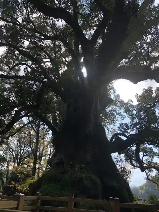 蒲生八幡神社の自然