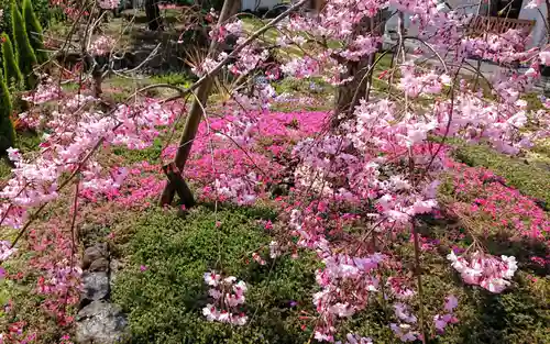 寿量山　速成寺の庭園