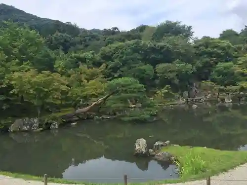 天龍寺の庭園