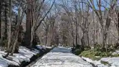 戸隠神社奥社(長野県)