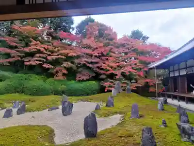 光明院（光明禅院）(京都府)