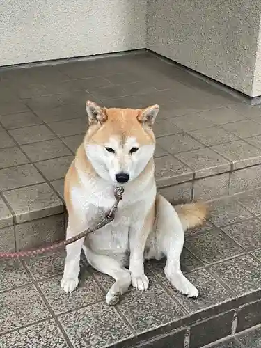 笠䅣稲荷神社(神奈川県)