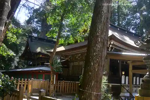 鹿島神宮(茨城県)