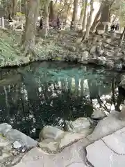 泉神社(茨城県)