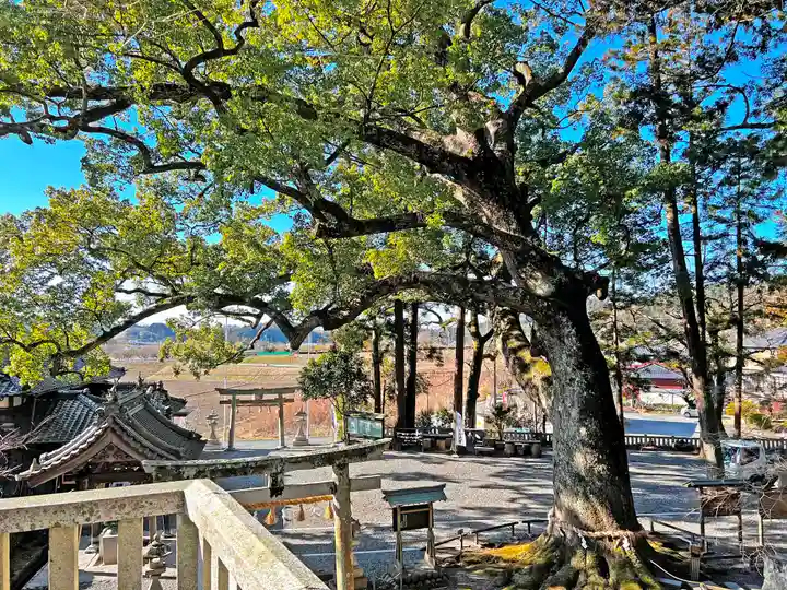 事任八幡宮の自然