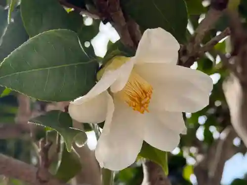 西方山極楽寺(岐阜県)