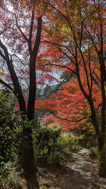 十輪寺(京都府)