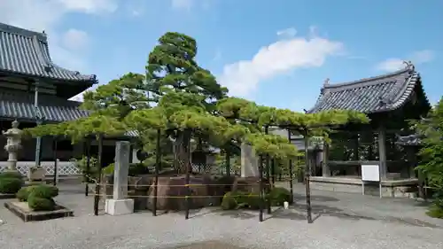 花岳寺の庭園