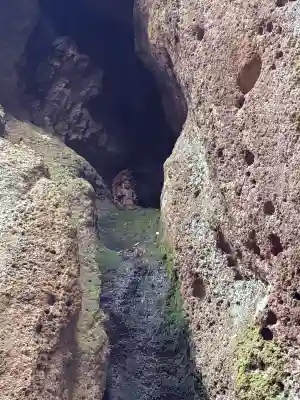垂水不動尊の{uncategorized: "未分類", other: "その他", undefined: "問題あり", building: "その他建物", grave: "お墓", sacred_gate: "鳥居", guardian: "狛犬", statue: "像", buddha: "仏像", history: "歴史", nature: "自然", garden: "庭園", animal: "動物", pagoda: "塔", temizu: "手水舎", mountain_gate: "山門・神門", sanctuary: "本殿・本堂", subordinate: "末社・摂社", art: "芸術", scenery: "景色", jizo: "地蔵", ema: "絵馬", goshuin: "御朱印", omikuji: "おみくじ", items: "授与品その他", amulet: "お守り", goshuincho: "御朱印帳", eats: "食事", festival: "お祭り", votive_dance: "神楽", shichigosan: "七五三参", wedding: "結婚式", experience: "体験その他", initially: "初詣", around: "周辺", anti_infection: "感染症対策"}