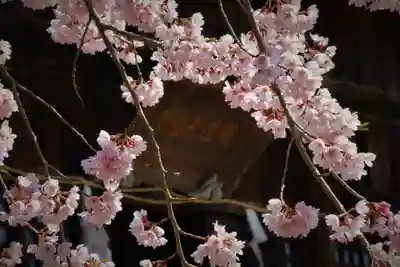 国宝 大法寺(長野県)