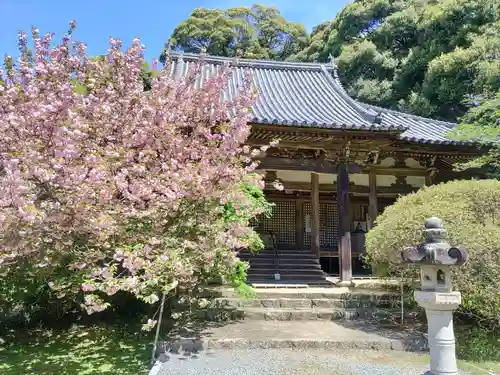 長岳寺の本殿・本堂