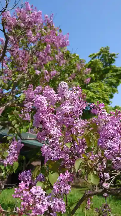 相馬神社(北海道)