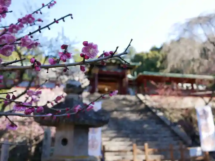 久能山東照宮の自然