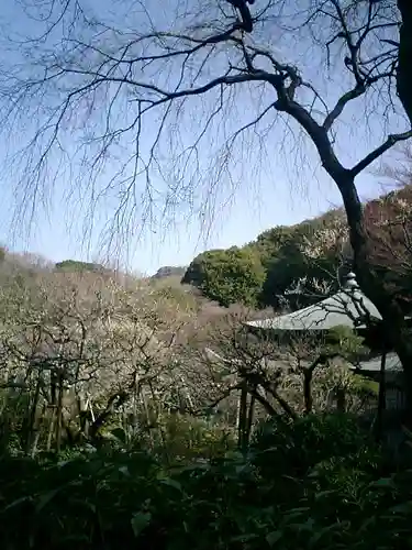 瑞泉寺の景色