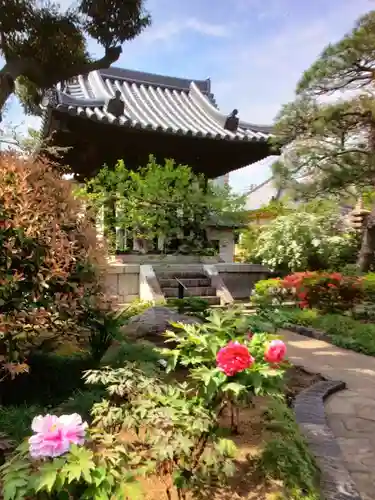 圓照寺(東京都)