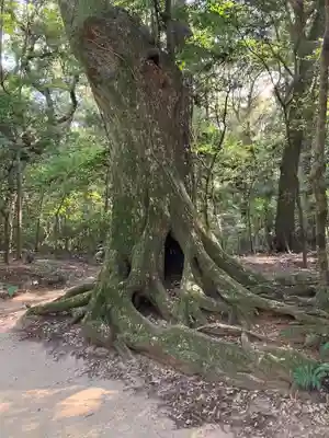 鹿島神宮(茨城県)