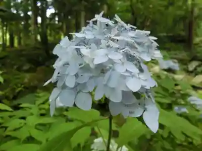 宝積山光前寺(長野県)