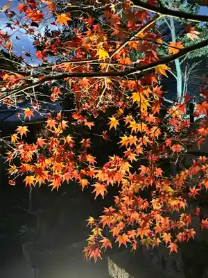 等彌神社(奈良県)