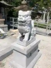 伊和志津神社の狛犬