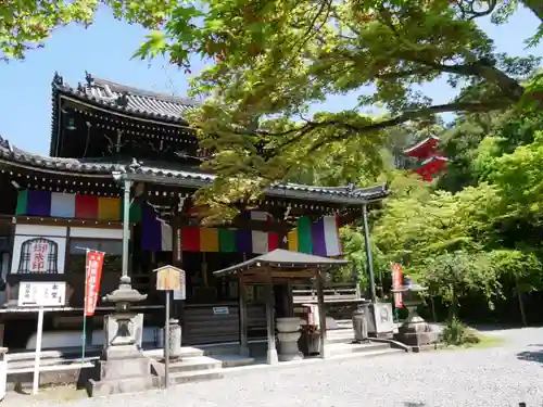 今熊野観音寺の本殿・本堂