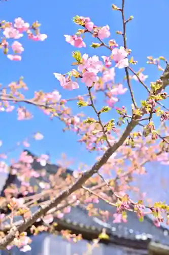 安禅寺(新潟県)