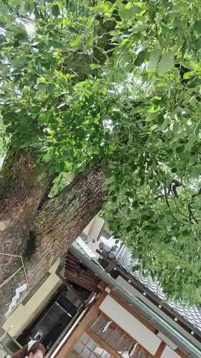 晴明神社(京都府)