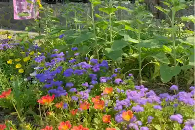 高司神社〜むすびの神の鎮まる社〜(福島県)