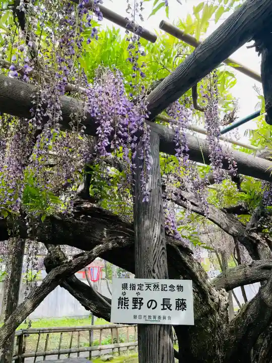 行興寺(静岡県)