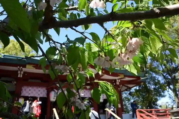 多摩川浅間神社(東京都)