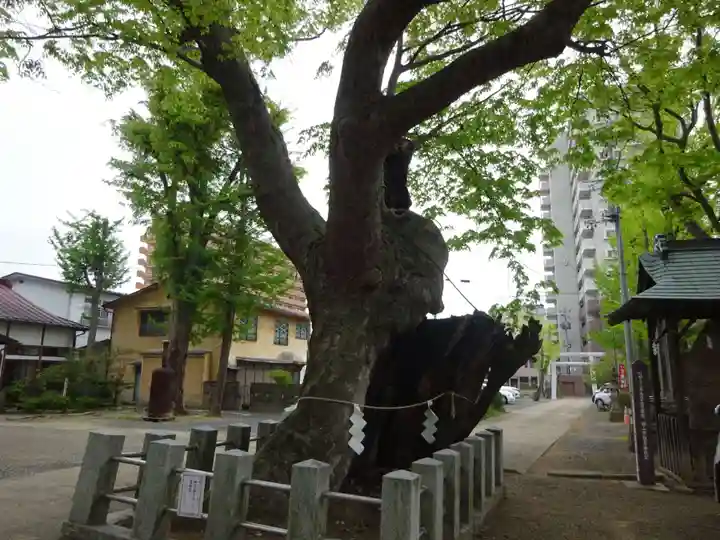 阿邪訶根神社の自然