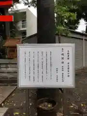 所澤神明社の歴史