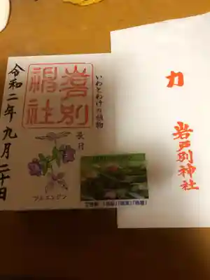 月替わりです。今月は、ツルニンジンです。