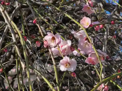 宗仲寺(神奈川県)
