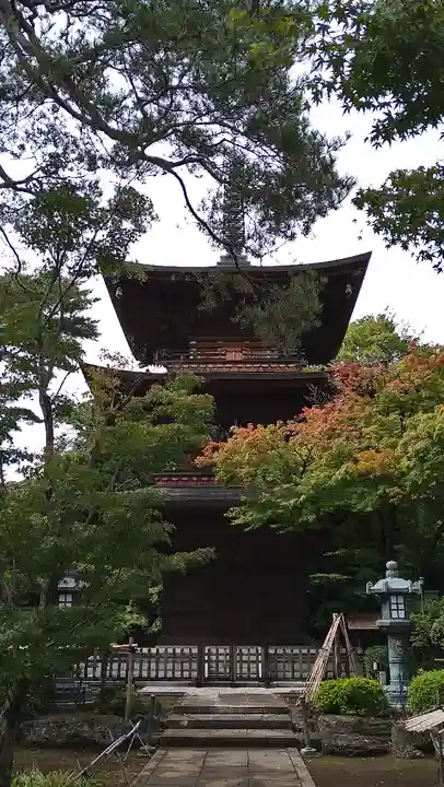 豪徳寺(東京都)