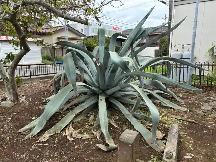 薬師寺(千葉県)