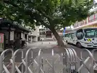 観智院(東京都)