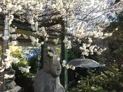 玉眞院玉川大師の自然